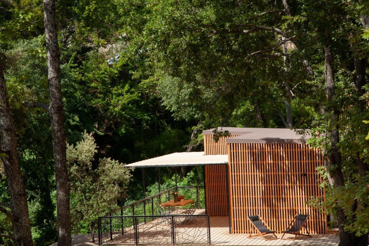 Les Cabanes De La Fontaine Lacoste  Zewnętrze zdjęcie